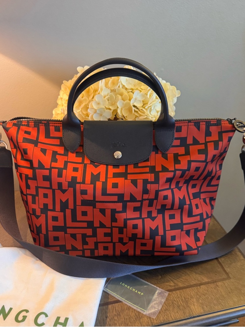 Long champ new collection Bag